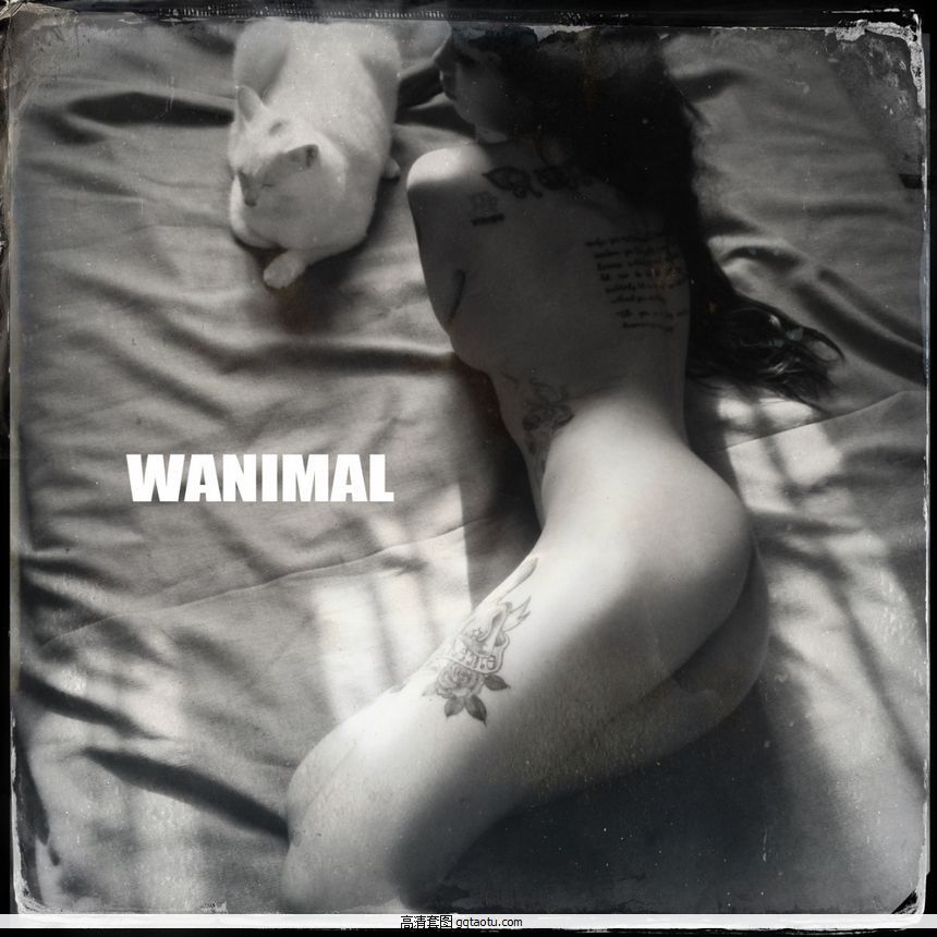 WANIMALƷʥͼ[125P]