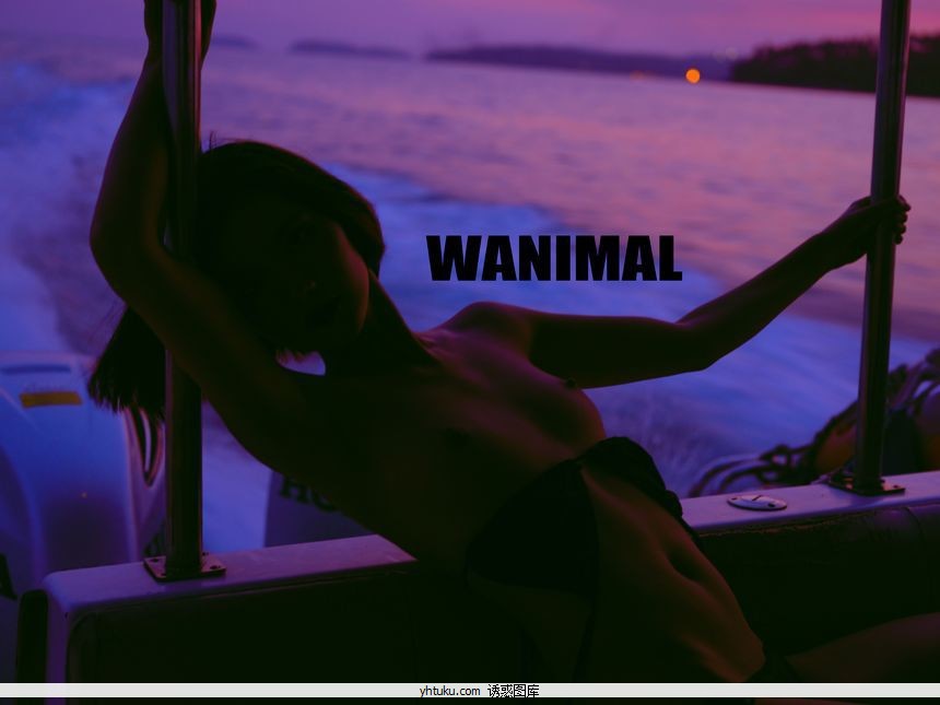 WANIMALٷƷY18.̩ʥͼ