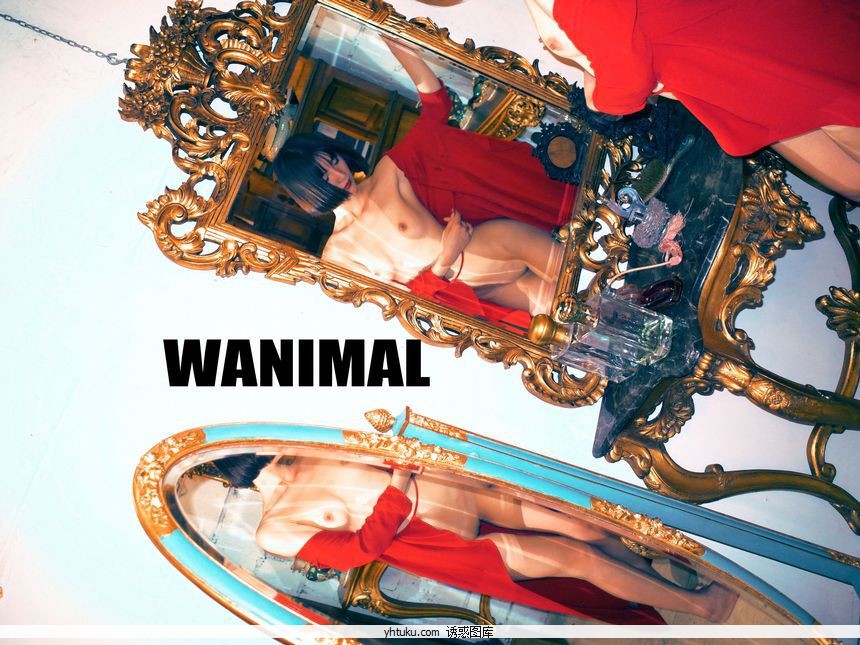 WANIMALٷƷY18.̩ʥͼ